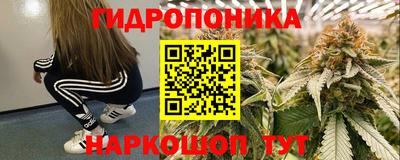 mdma Кингисепп