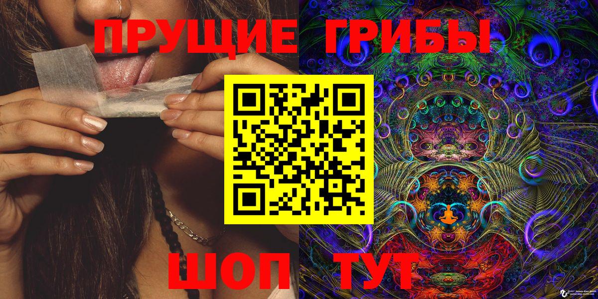 Псилоцибиновые грибы Cubensis Кудымкар