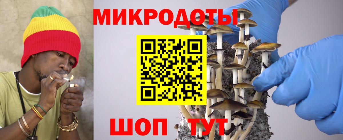 Псилоцибиновые грибы Magic Shrooms  Вход с VPN  Кудымкар 